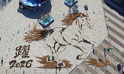 国営ひたち海浜公園01