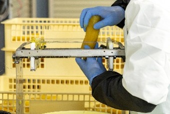 ほしいもの作り方、スライス