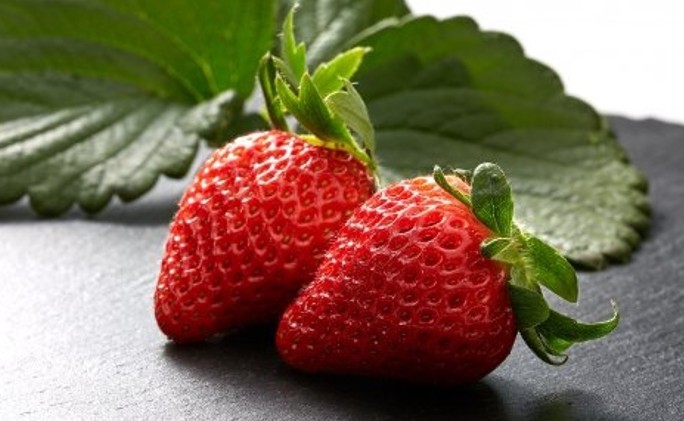 いばらキッス画像01