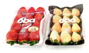 いばらキッスと淡雪の紅白セット