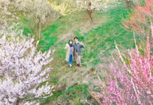 1日1組限定！特別宿泊プラン発売中