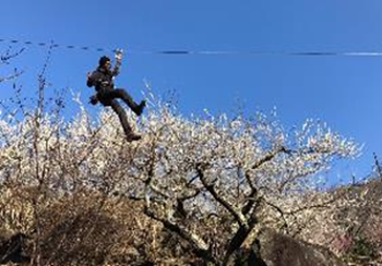 梅林往復180mのジップトリップ