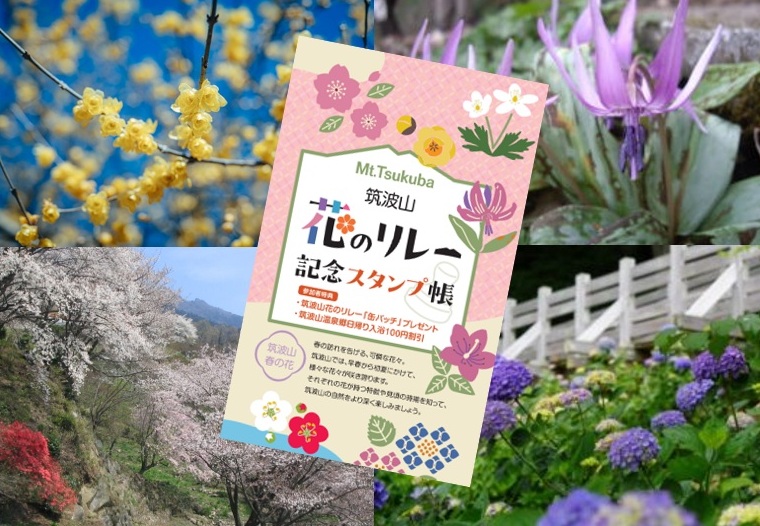 筑波山、花のリレー記念スタンプ帳