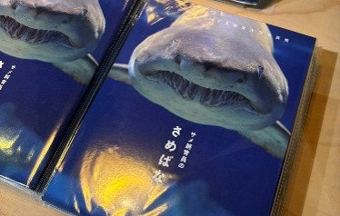 徳永さん執筆の書籍「サメ飼育員のさめばなし」