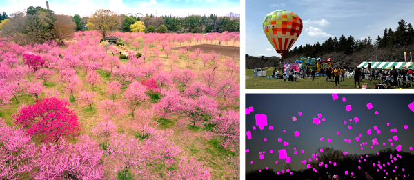 第50回古河桃まつり