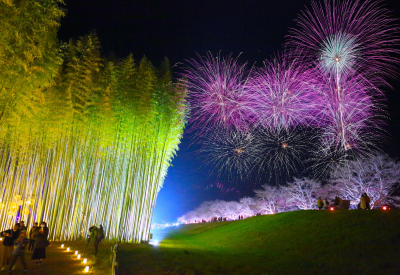 ひたち大宮辰ノ口桜まつり