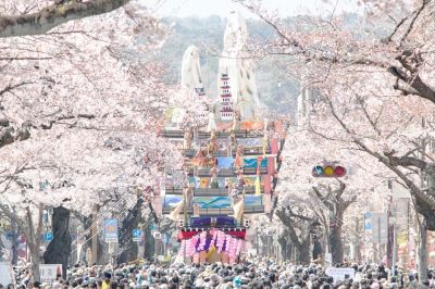 日立さくらまつり