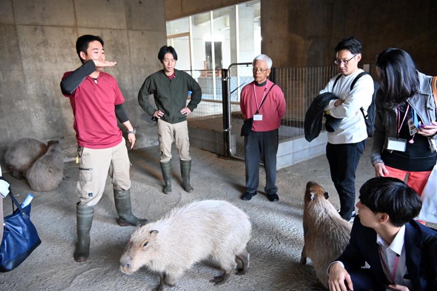 どうぶつとみんなのいえ