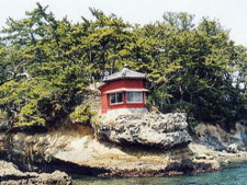 五浦海岸３