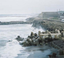 養浜実施結果１