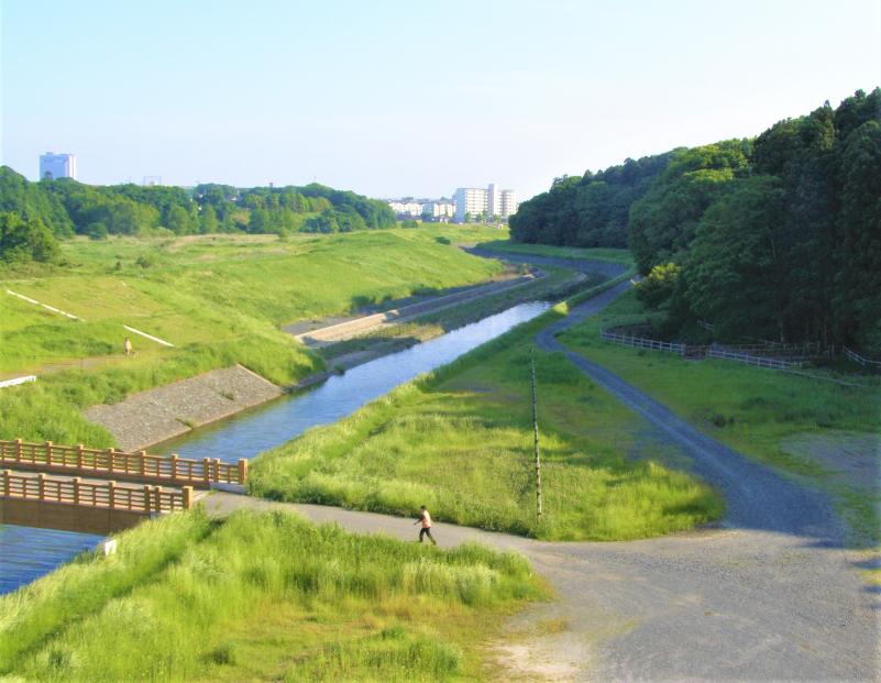 桜川緑地の写真