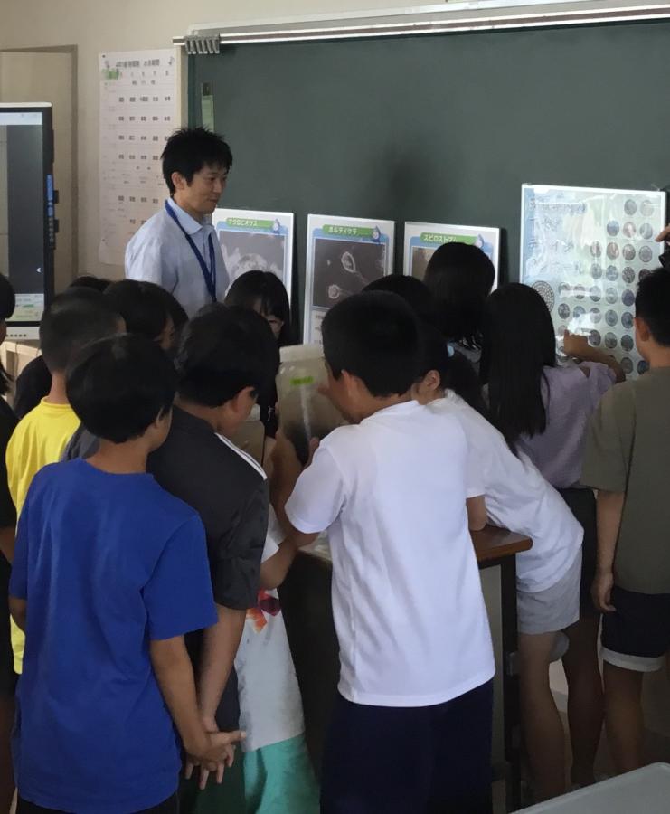 20260717竜ケ崎市立龍ヶ崎小学校写真4