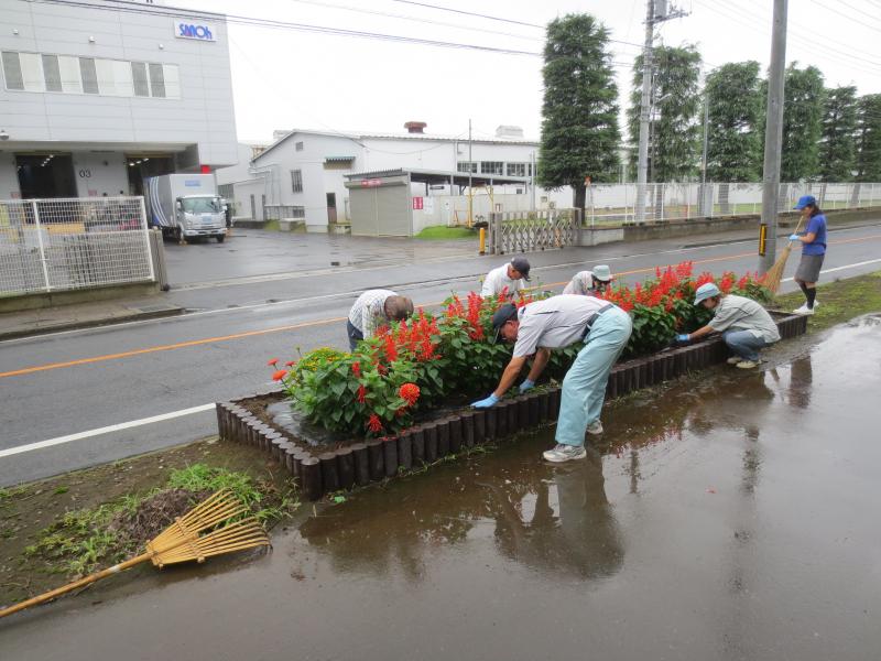 道路里親活動風景その2