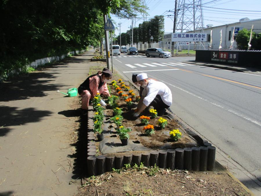 インターハイ記念花いっぱい運動1