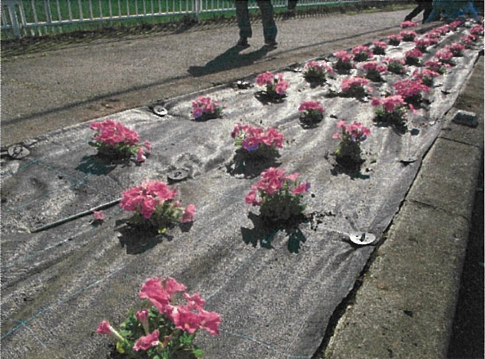 上大野フラワーロード２