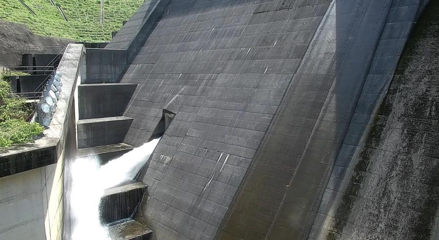 バルブ放流　アップ　写真