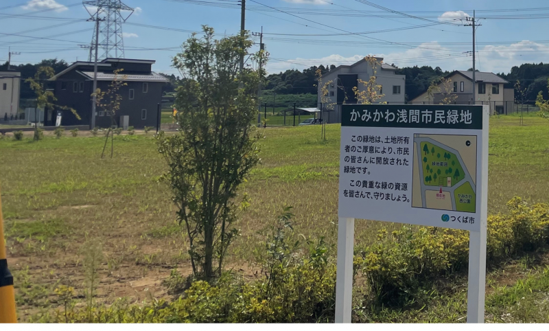 緑地1