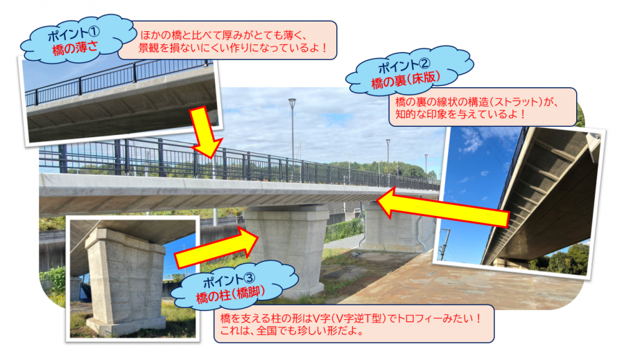 橋の特長