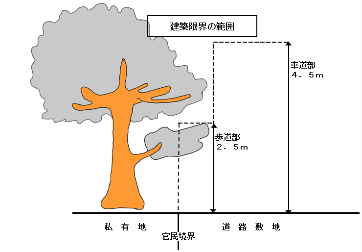 樹木