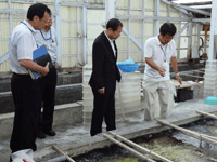 茨城県水産試験場において、資源生態実験室等を視察
