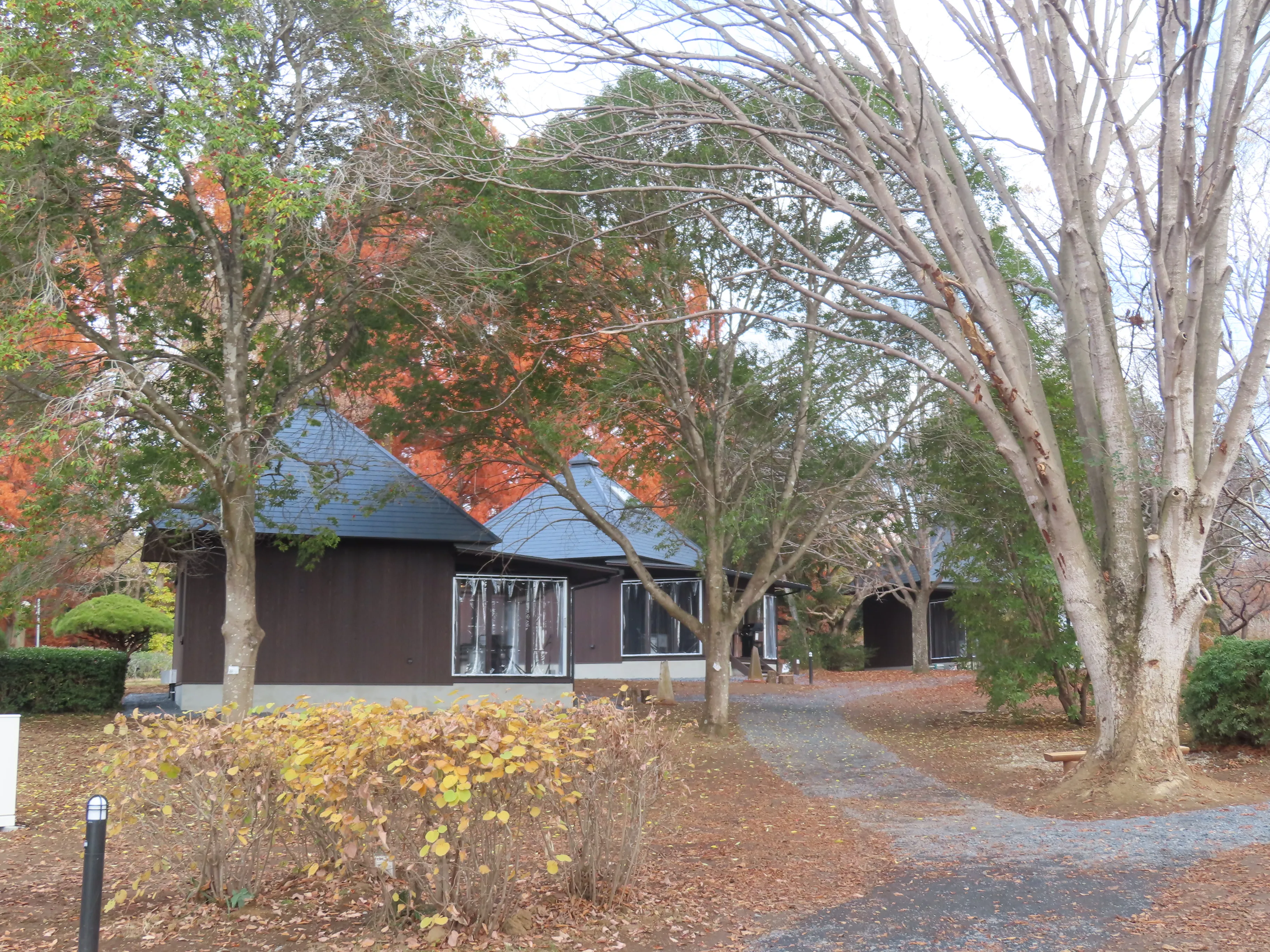 セレモニーの様子４