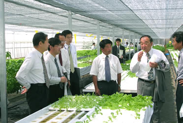 有限会社栗原農園