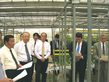 トマト栽培農家