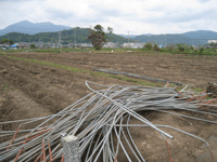 イチゴハウス倒壊現場