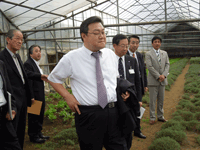 農園を視察する様子