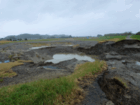 決壊した堤防（右側）と土壌がえぐれて損壊した水田の様子