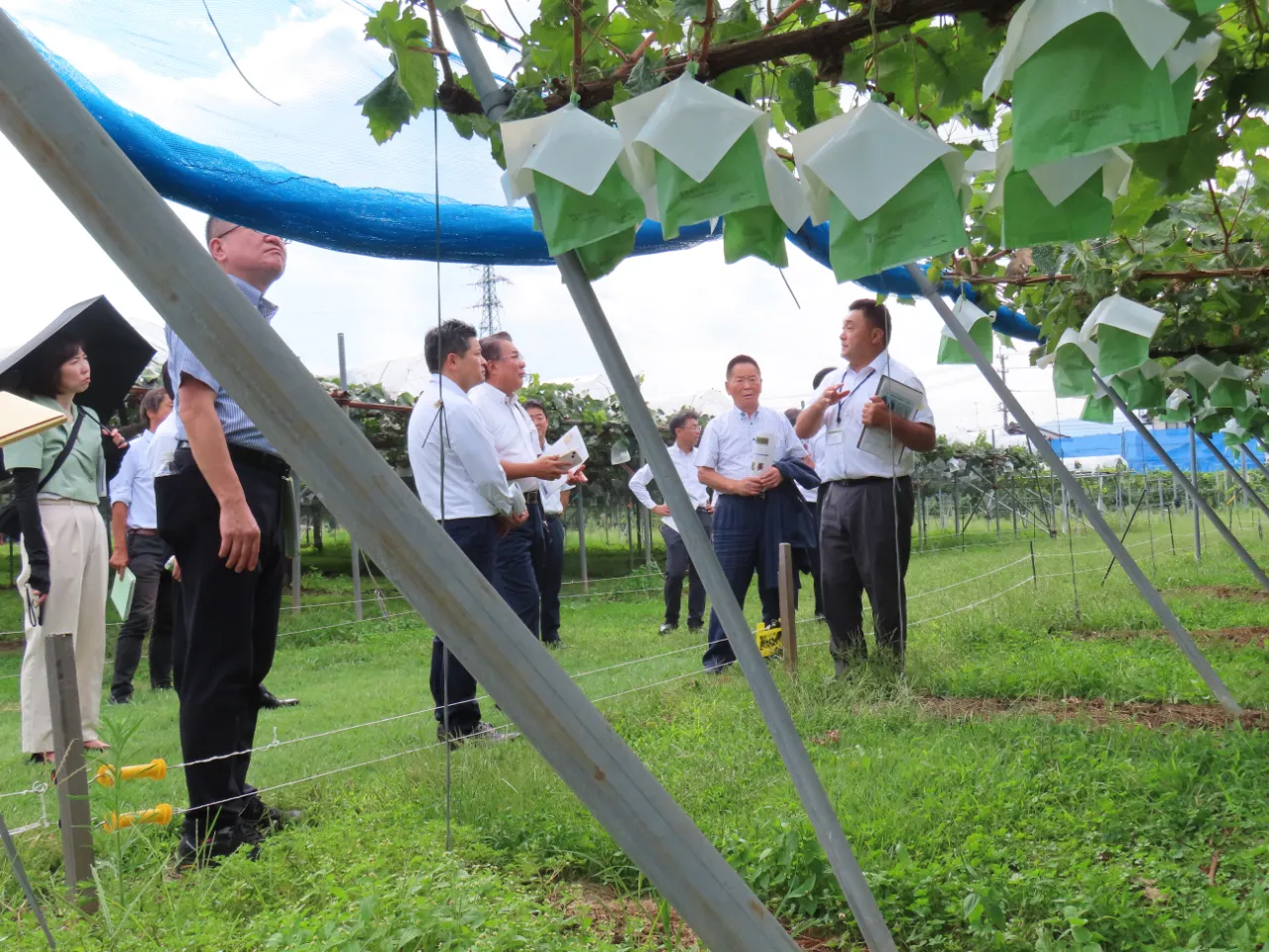 説明を受ける委員