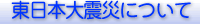 東日本大震災について