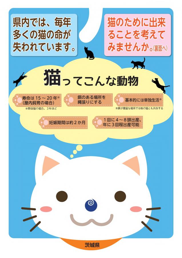 猫ってこんな動物