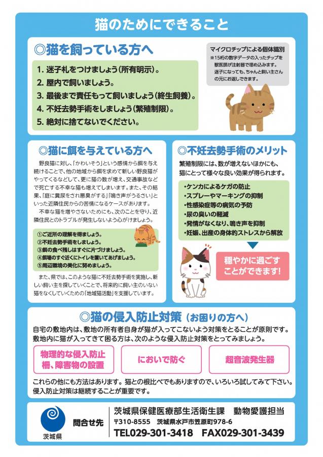 猫ってこんな動物