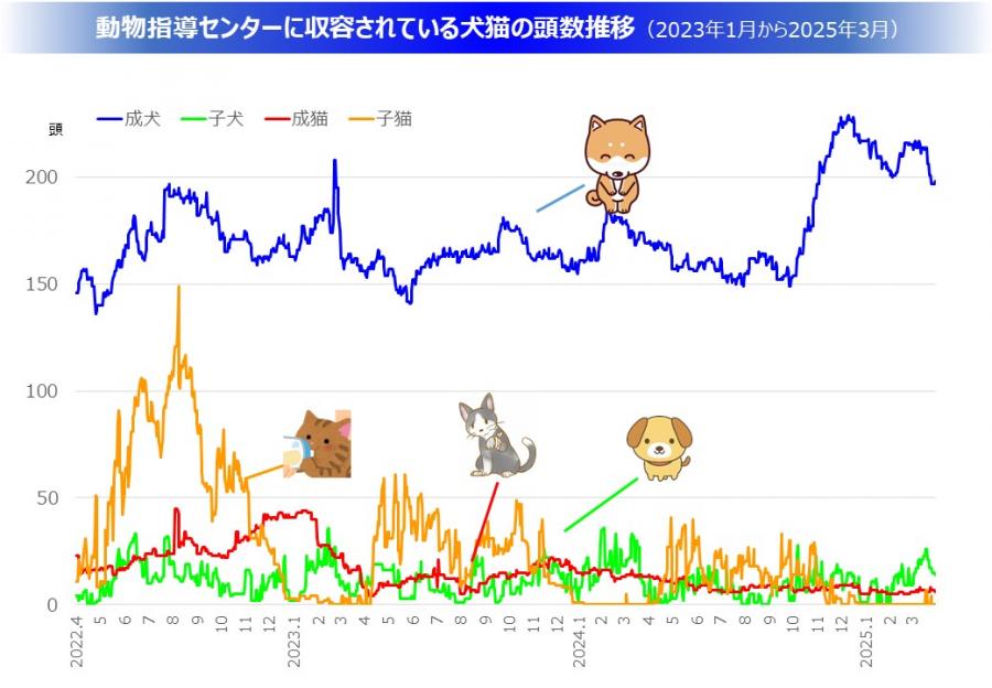 収容