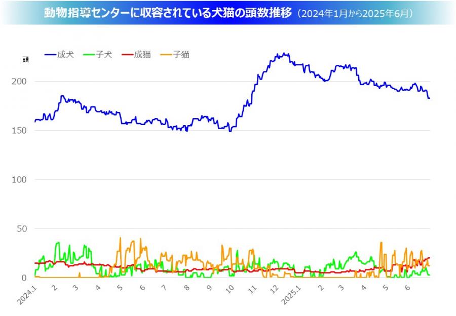 収容数グラフ