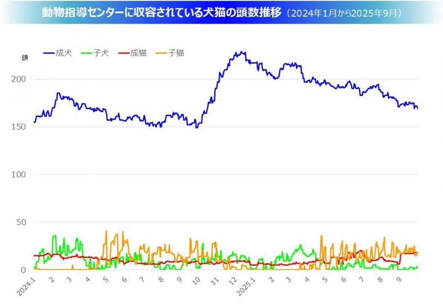 収容数グラフ