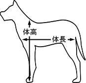 特定犬のサイズ