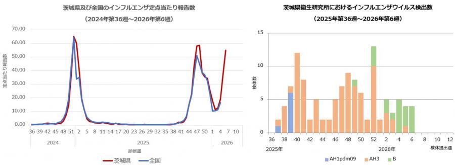 2026年第6週_インフルエンザグラフ