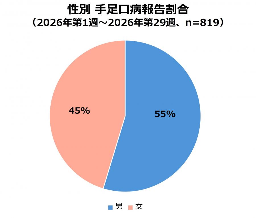 2026年第29週時点_性別_手足口病報告割合