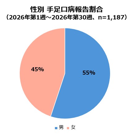 2026年第30週時点_性別_手足口病報告割合