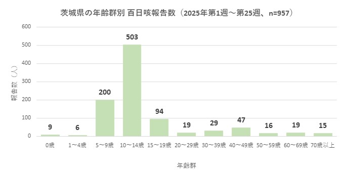 百日咳グラフ_年齢群別（2025年第1～25週時点）