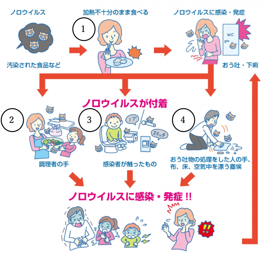 ノロウイルス感染ルート