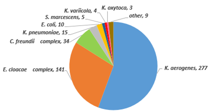 搬入された菌株の菌種の円グラフ