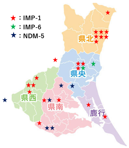 遺伝子型別カルバペネマーゼ検出地域