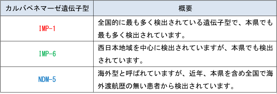 カルバペネマーゼ遺伝子型の特徴
