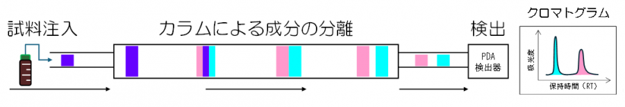 試料注入後、カラムによる成分の分離から検出の流れ