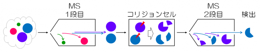 MS/MS検出器の模式図
