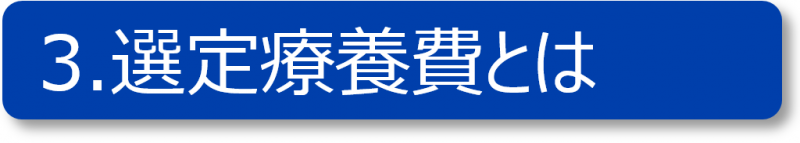 3選定療養費とは