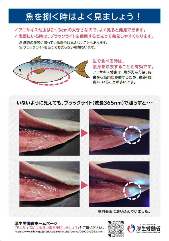 アニサキスによる食中毒を予防しましょう2